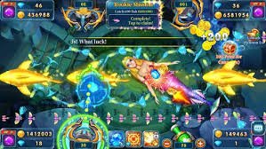 nn55 bet login