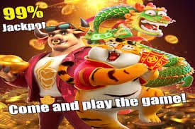 nn55 bet login